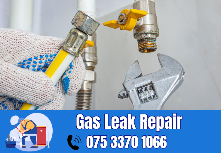 gas leak repair Tonbridge