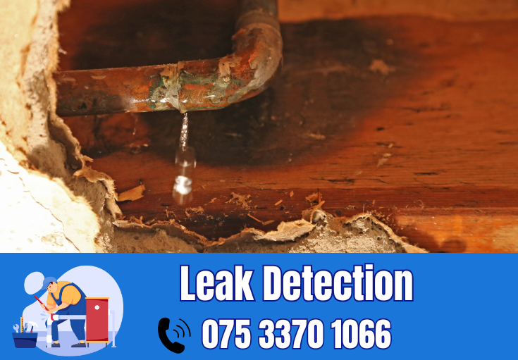 leak detection Tonbridge