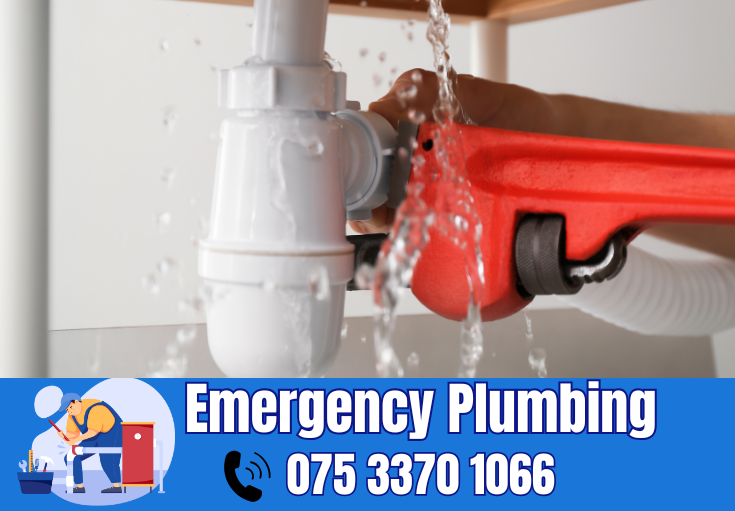  plumber Hildenborough