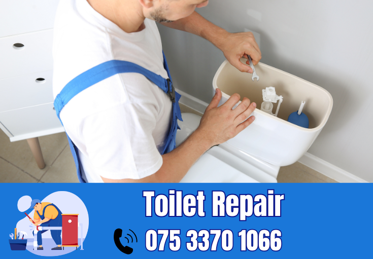 toilet repair Tonbridge